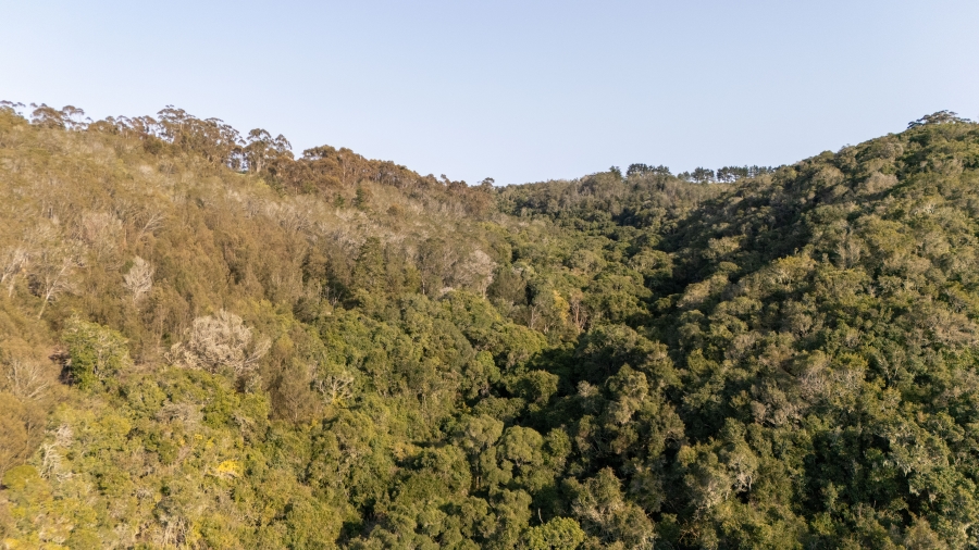 0 Bedroom Property for Sale in Harkerville A H Western Cape